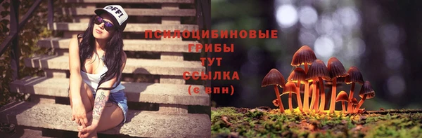 ПСИЛОЦИБИНОВЫЕ ГРИБЫ Валуйки