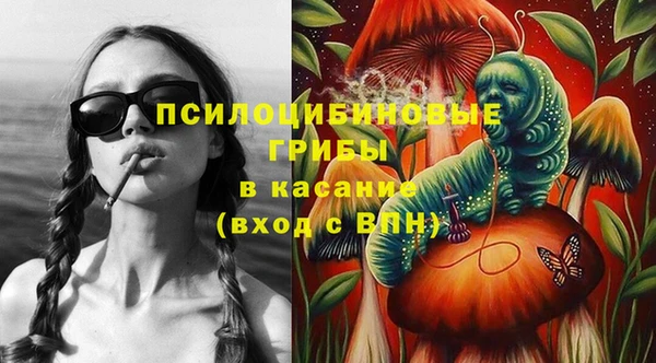 дурь Богородск