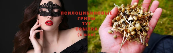 мефедрон Богородицк