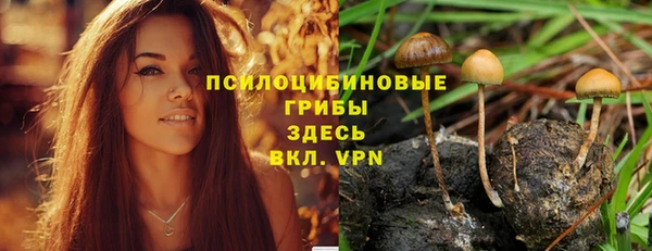 мефедрон Богородицк