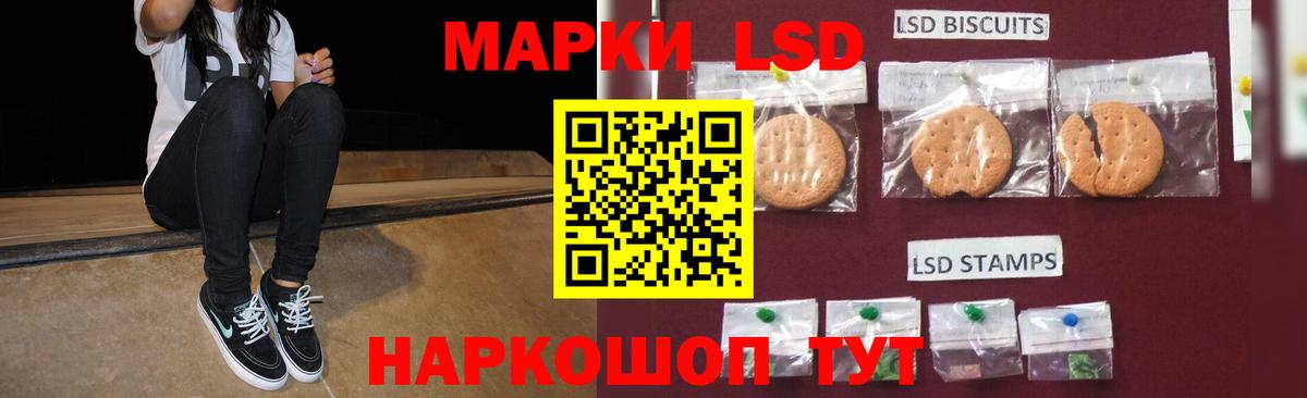 KRAKEN ССЫЛКА  Вход с VPN  Гатчина  LSD-25 экстази кислота 