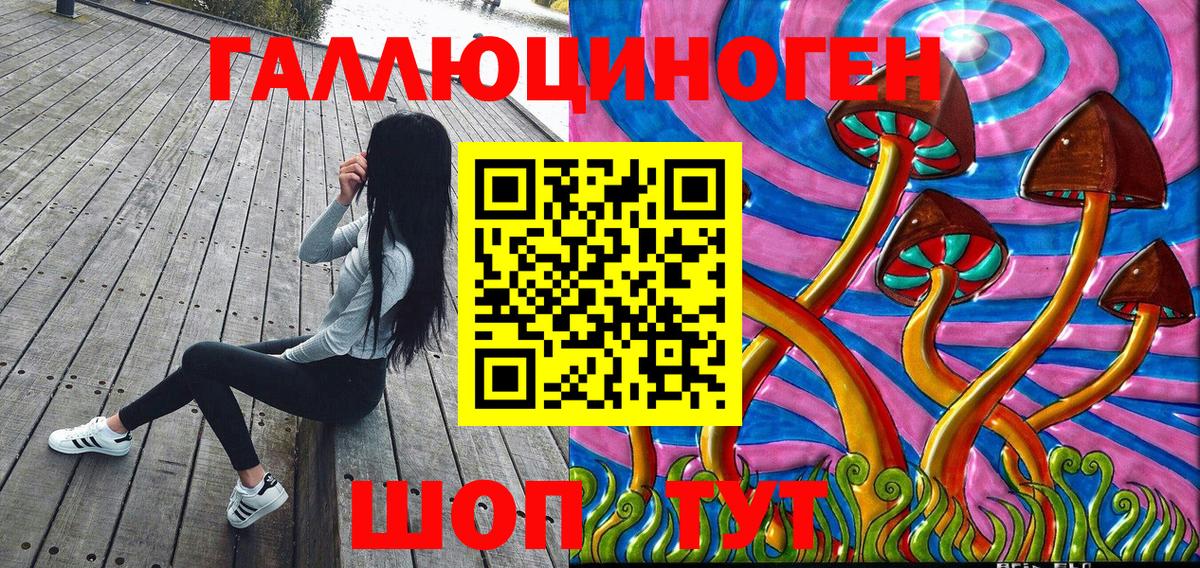 Псилоцибиновые грибы MAGIC MUSHROOMS  Гатчина  Псилоцибиновые грибы Psilocybine cubensis 