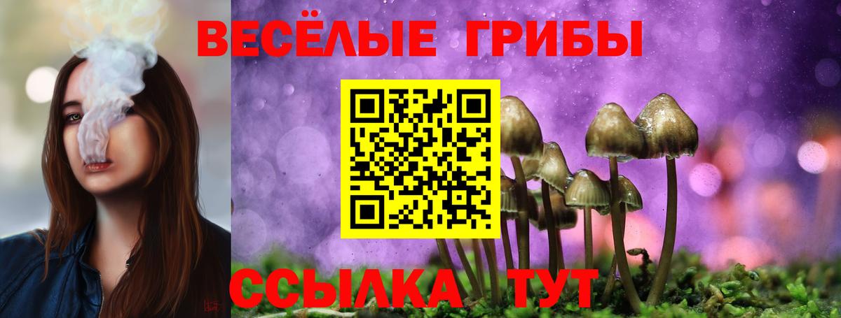 Галлюциногенные грибы мицелий Гатчина